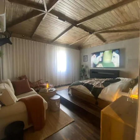 استوديو بطابع أكواخ انترلاكن Apartment